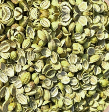 Coriander Powder